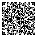 QR код "Лэдис"