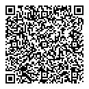 QR код "Palmetta"