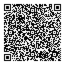 QR код "Выбор"