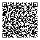 QR код "Алиса"