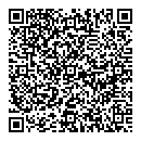 QR код "LADY MIX"