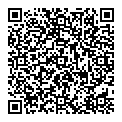 QR код "MegaMix"