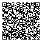 QR код "ДНС"