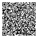 QR код "Глобус"