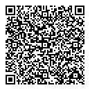 QR код "Иголочка"