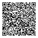 QR код "Ковчег"