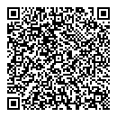 QR код "Леди"