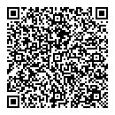 QR код "Спутник"