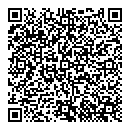 QR код "Блеск"