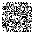 QR код "Astronomy Reports"