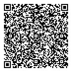 QR код "Plasma Physics Reports"