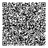 QR код "Physics of Particles and Nuclei Letters"