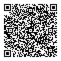 QR код "Remix"