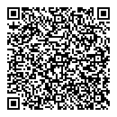 QR код "Нефертити"