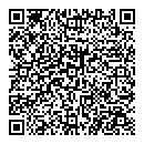 QR код "Ромашка"