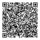 QR код "Глобус"