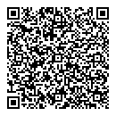 QR код "Глобус"