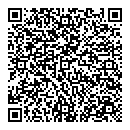 QR код "Спутник"