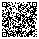 QR код "Домино"