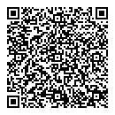 QR код "Алсу"