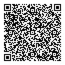 QR код "Алсу"