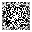 QR код "Глобус"