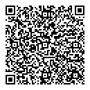 QR код "Спутник"