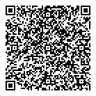 QR код "Спутник"