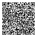 QR код "Пульсар"