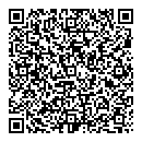 QR код "Алладин"