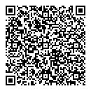 QR код "Викинг"