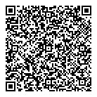 QR код "Король лев"
