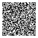 QR код "Silver string"