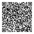 QR код "Алиса"