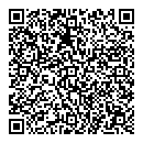 QR код "Дельфин"