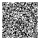 QR код "Глобус"