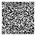 QR код "ДСМ Сервис"