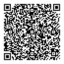 QR код "Демис"
