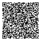 QR код "Аэлита"