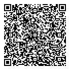 QR код "Вивендис"