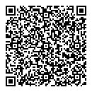 QR код "Спутник"