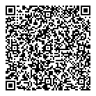 QR код "ДНС"