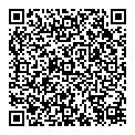 QR код "Мир"