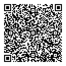QR код "Эльза"