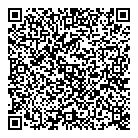 QR код "Professionals"