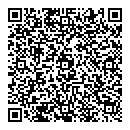 QR код "Professionals"