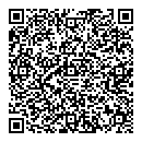 QR код "220 Вольт"