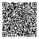 QR код "Мир"