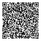QR код "Звездочка"