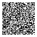QR код "Венеция"